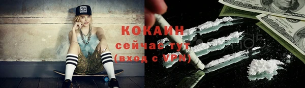 кокс Арсеньев