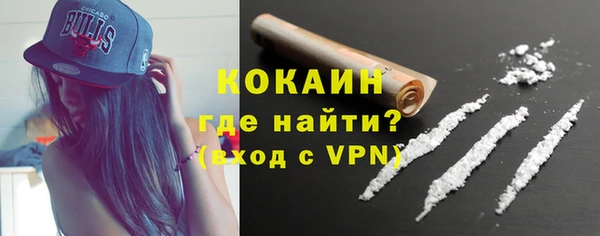 сатива Армянск