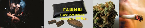 кокс Арсеньев