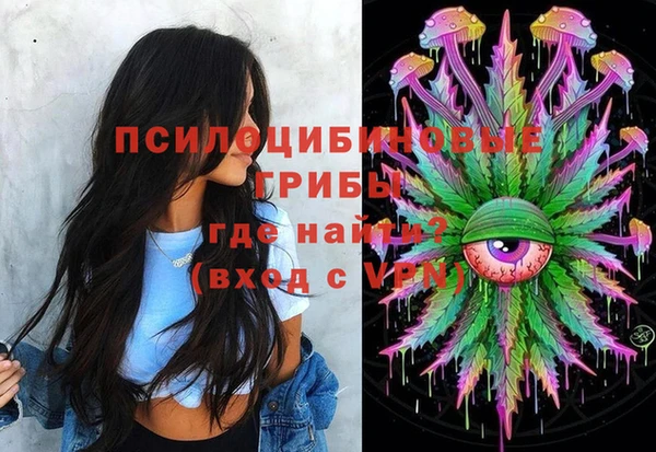 кокс Арсеньев