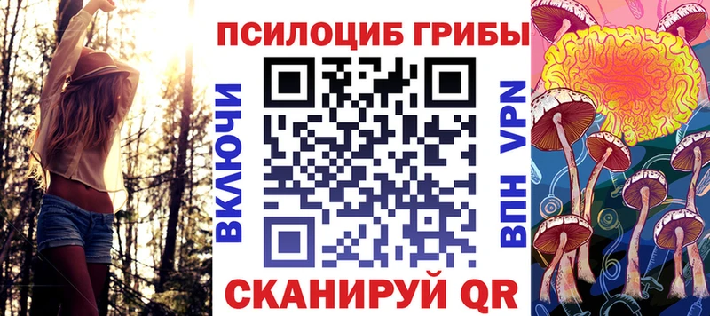 дарк нет наркотические препараты  Могоча  MEGA   Псилоцибиновые грибы мухоморы  купить закладку 
